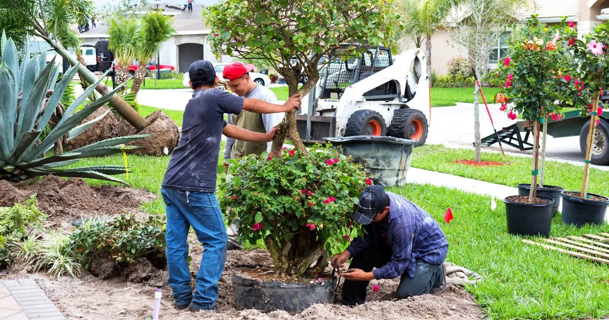 Three men are working on property maintenance. Landscaping the front yard of a home.