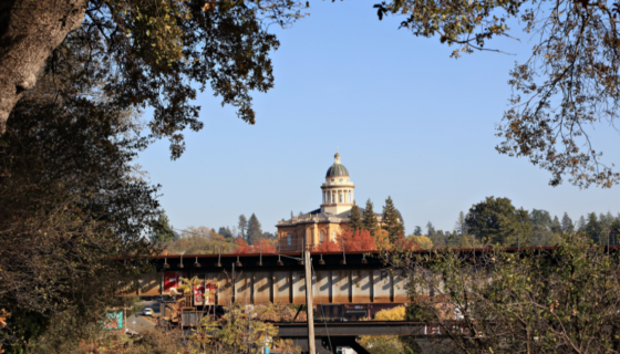 Aerial view of Sacramento.