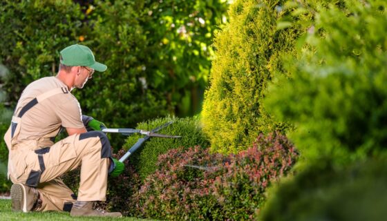 Worker cleaning up bushes during spring property maintenance to enhance curb appeal and tenant satisfaction.